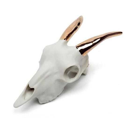 Goat Skull Porcelain Sculpture Accessories Beetle & Flor 