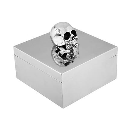 Roberta Schilling Silver/Chrome Skull Box | Shop Vanillawood
